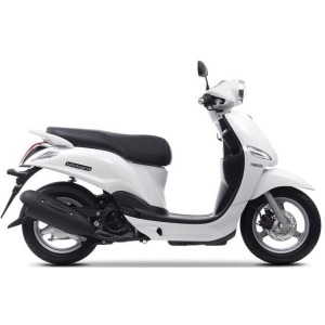 Delight 115cc