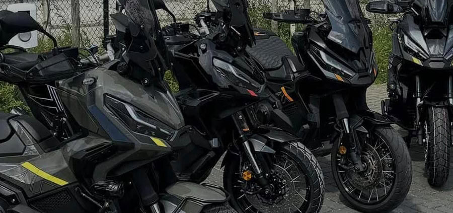 occasions1_donker_vierksnt